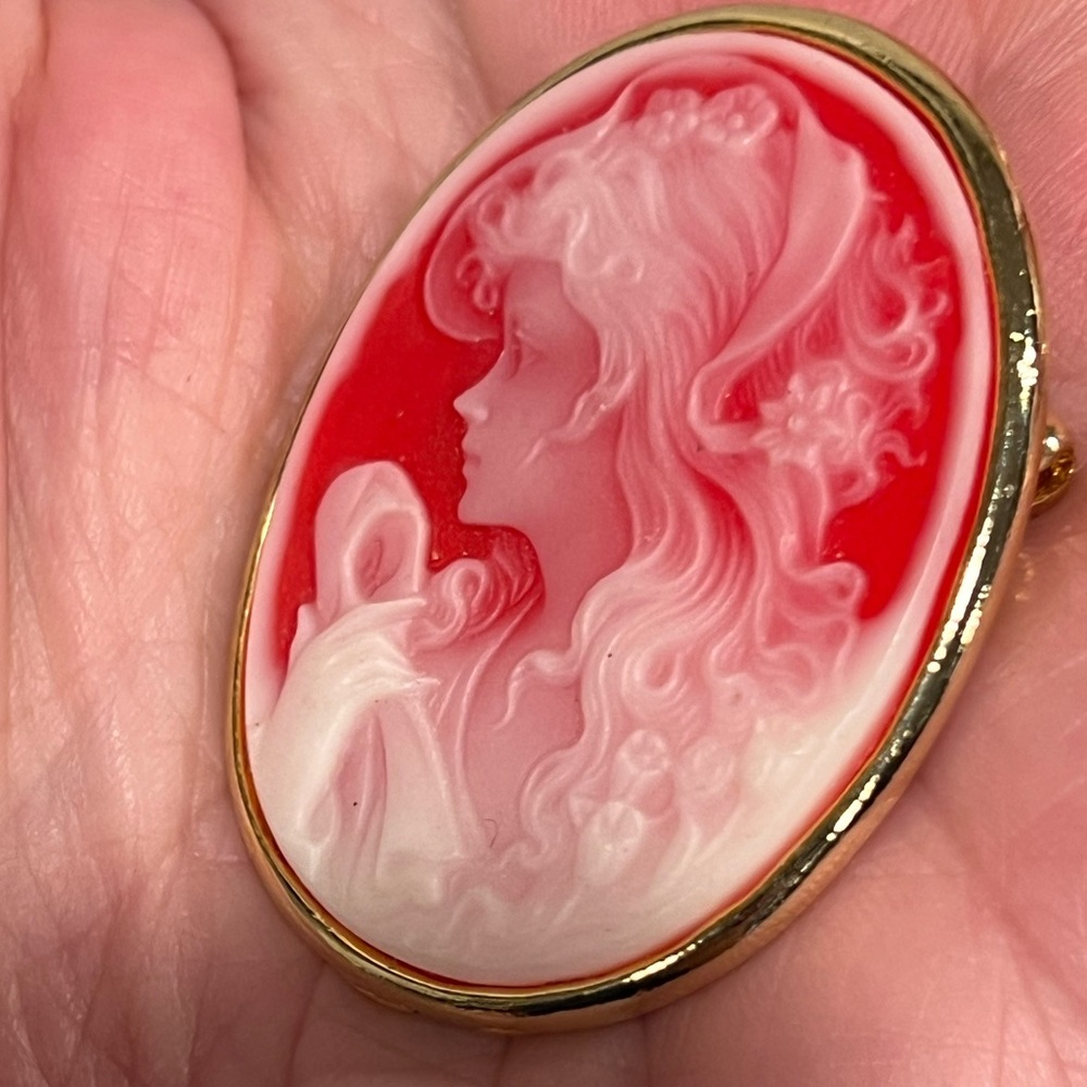 Vintage Cameo left facing Red and White Brooch - Picture 5 of 7